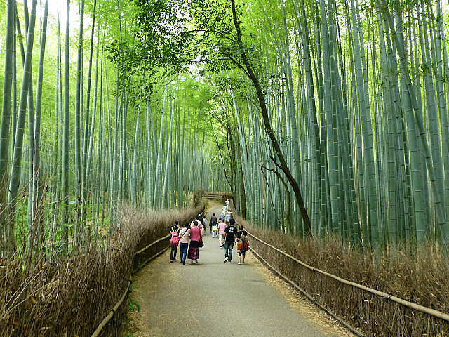 Bamboo lined street at Arashiyama
