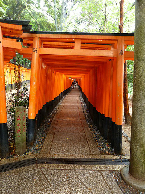 Torii covered passage at Fushimi Inari