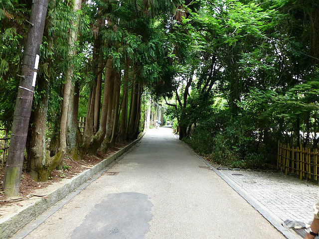 Wooded path - Arashiyama