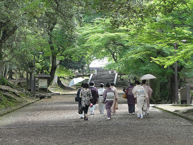 Kimono clad women walking through Nara park