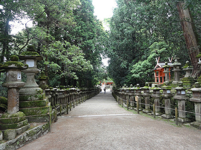 Path to Kasuga Taisha lined with lanterns