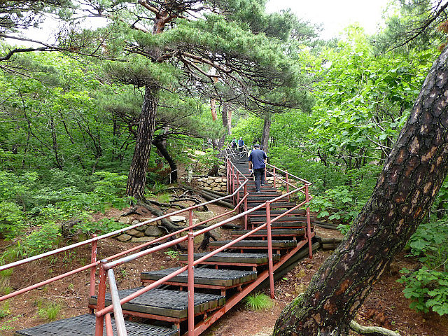 A walk in the park