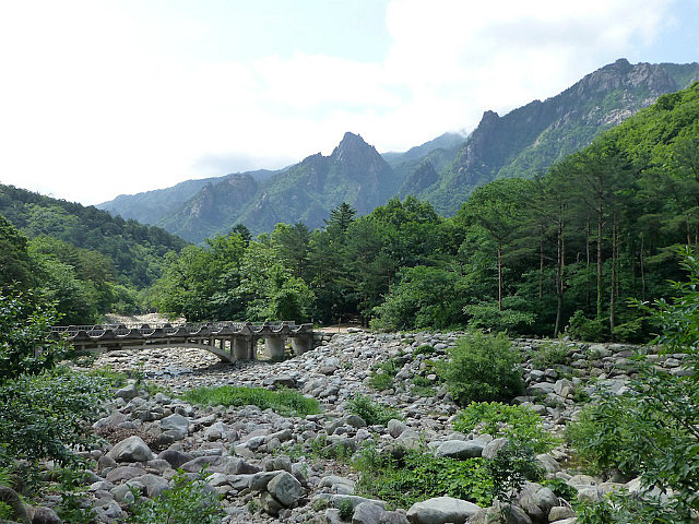 Bridge on the trail