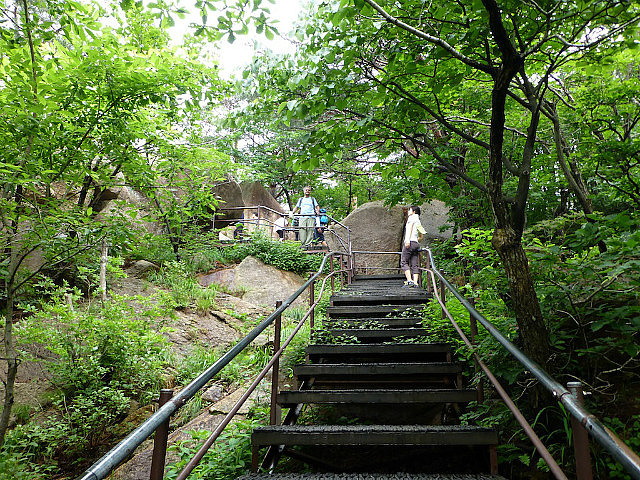 Wooded section