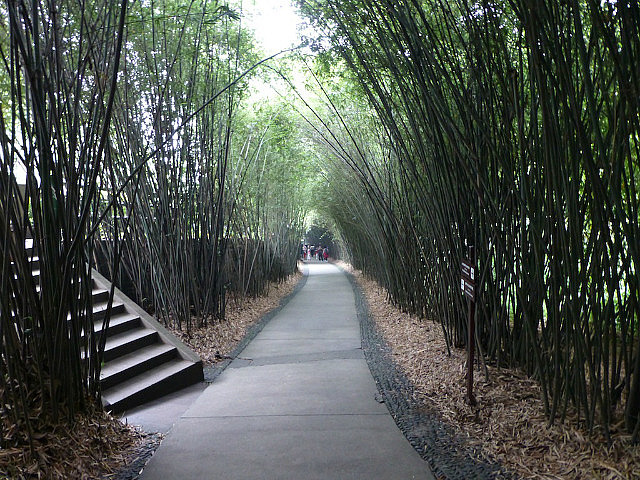 Giant Panda Breeding Research Center 