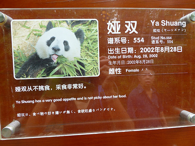Hello !  I am Ya Shuang.