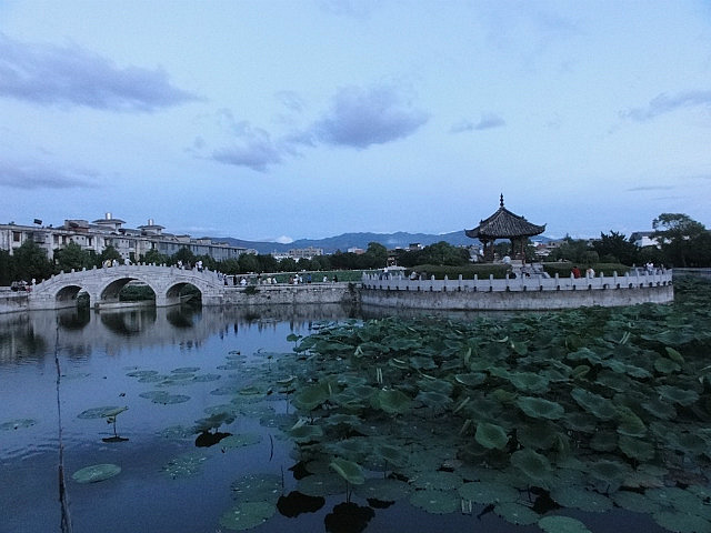 Confucian temple - bridge and water lilies
