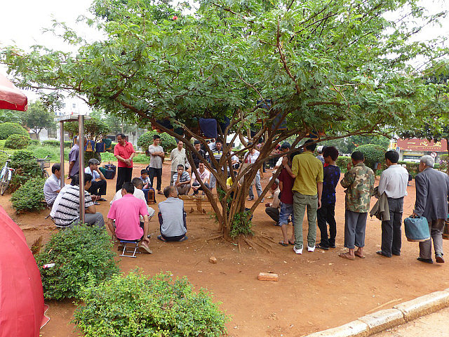Crowd watching birdfight