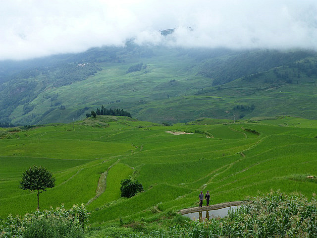 Yuanyang Rice Terraces