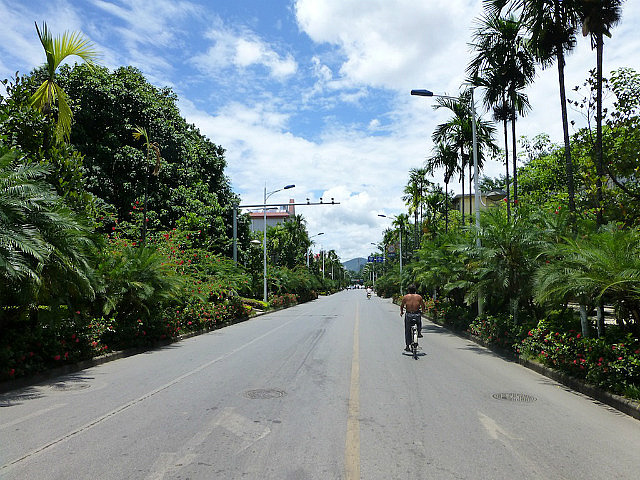 Shady streets