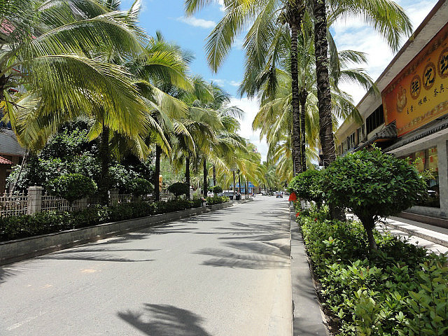 Tree lined main street