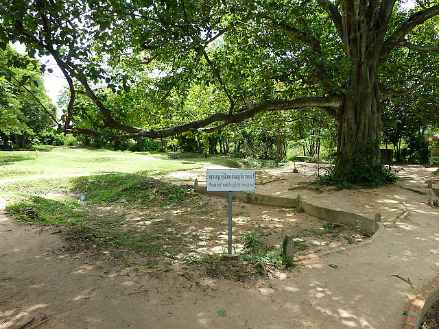 Mass grave site
