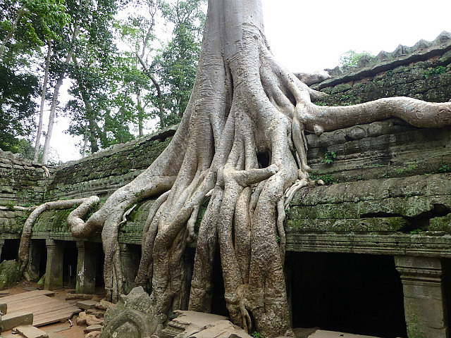 Ta Phrom