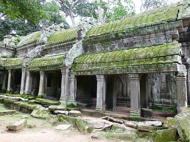 Ta Phrom - roots running on the ground