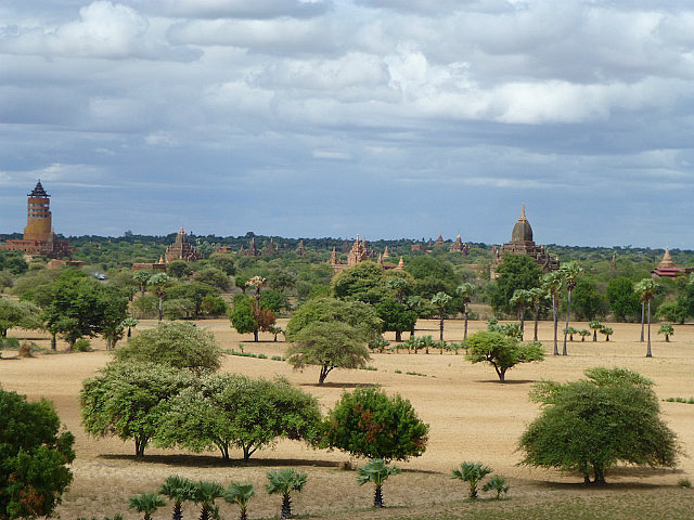 Bagan plains view