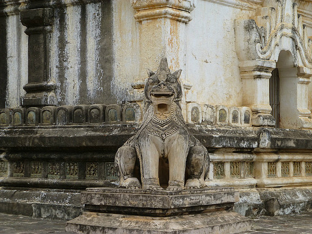 Lion with multiple bodies and single head