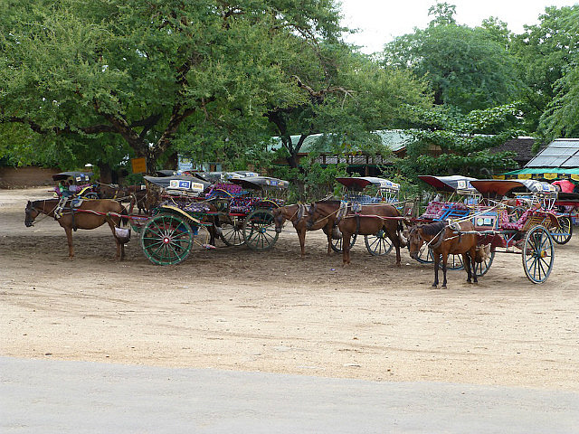 Horse cart station