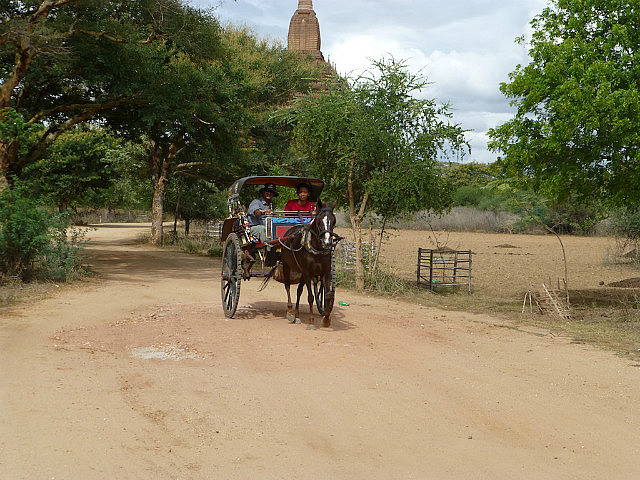 Driven around by Susu, our horse 