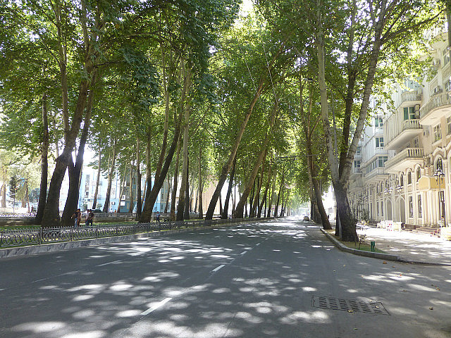 Tree lined Rudaki Avenue