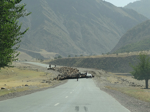Traffic Jam enroute from Dushanbe to Karamyk
