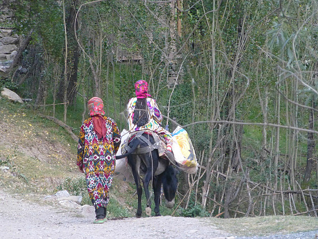 Life in the Fan Mountains