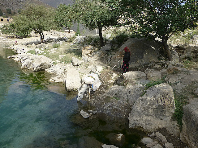Donkey gets a drink from the fifth lake