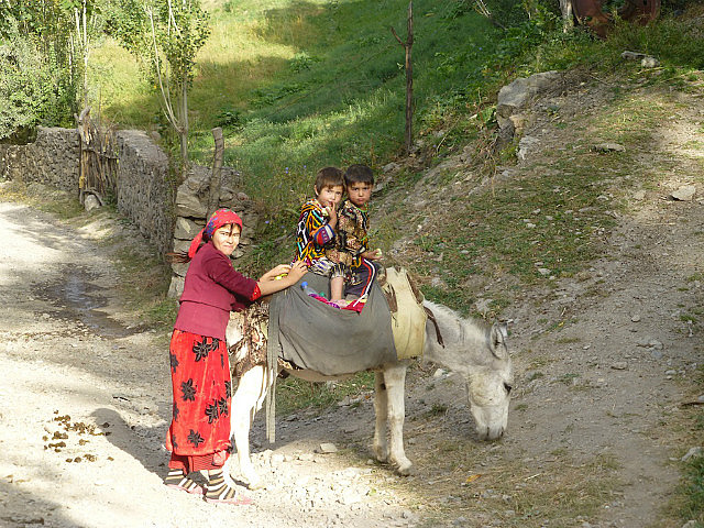 Life in the Fan Mountains