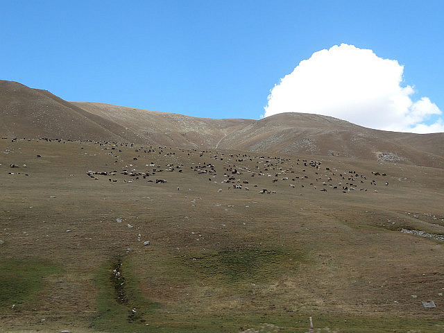 Susamyr Valley