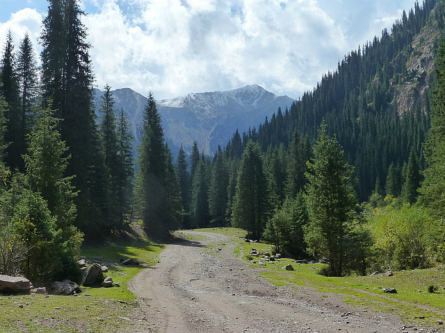 On the trail