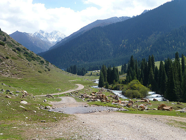 Meadow with mountain backdrop