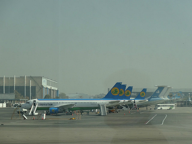 Uzbekistan Airlines planes at Tashkent airport