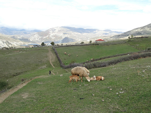 Countryside around Lahic