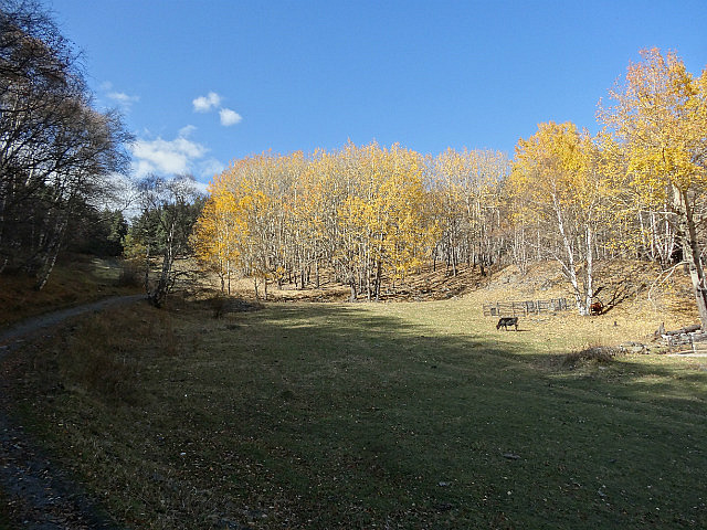 Trail to the Trinity Church