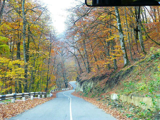 Peak autumn colors at Dilijan