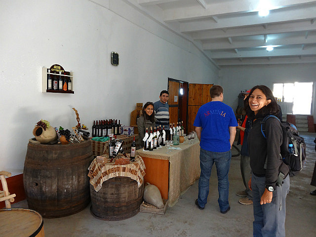 Wine tasting at Areni winery