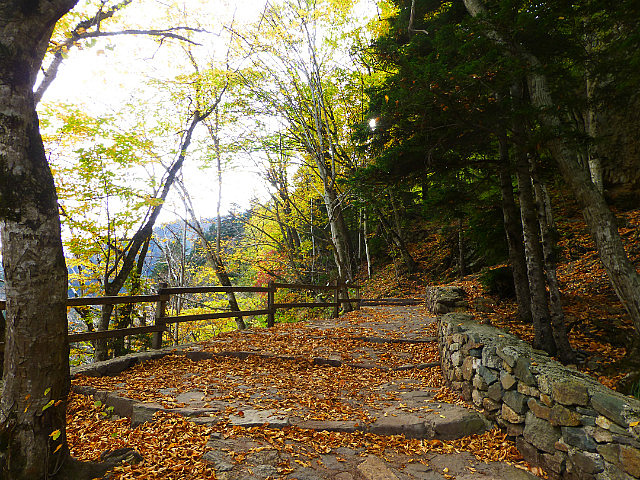 Path descending from Sumela