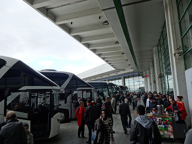 Buses at the gates, ready for boarding