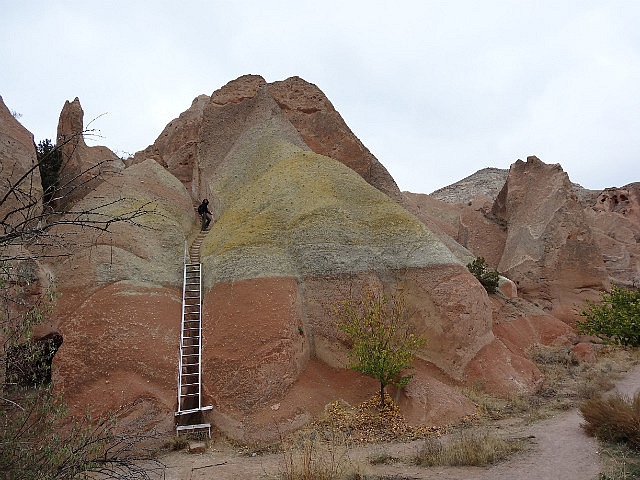 Rose/Red Valley trail