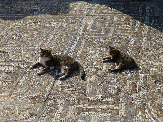 Surviving mosaics from Byzantine residences
