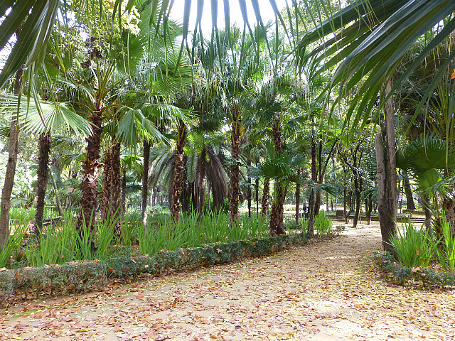 Parque de María Luisa