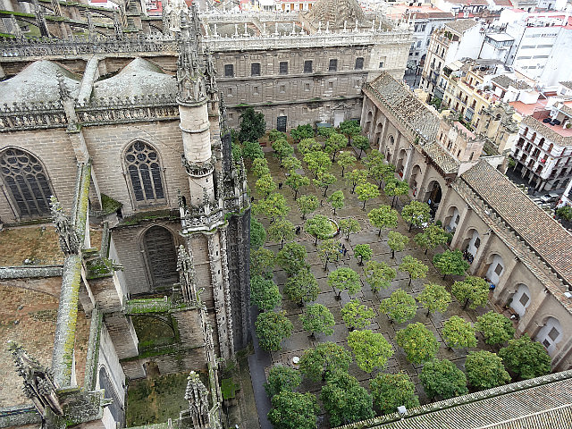 Patio de los Naranjos (Patio of Orange Trees) 