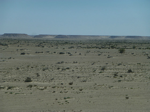 Did we say that it was a desert?