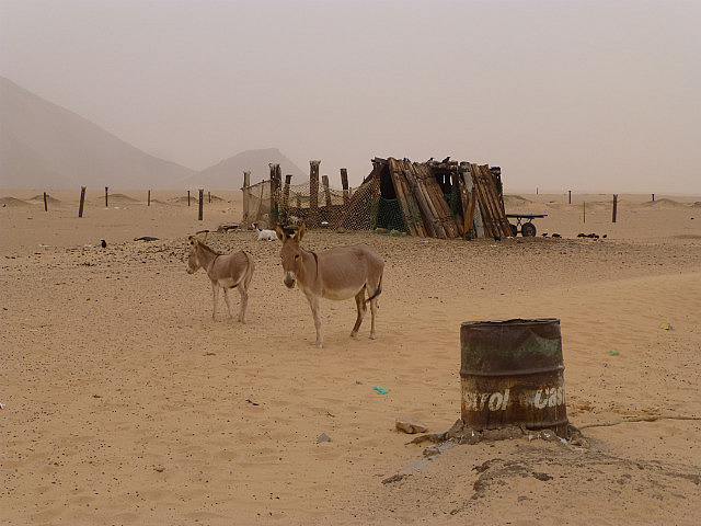 Ben Amera village scene