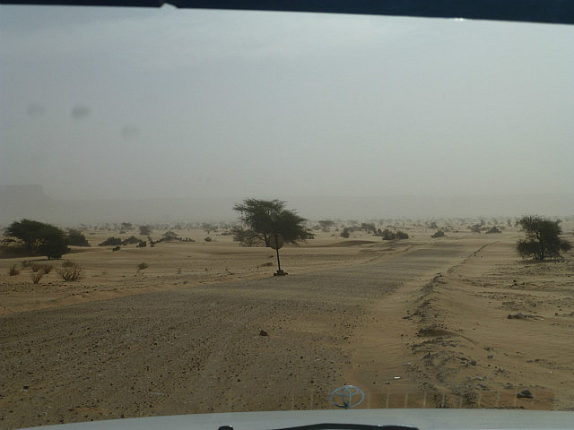 Driving through the desert