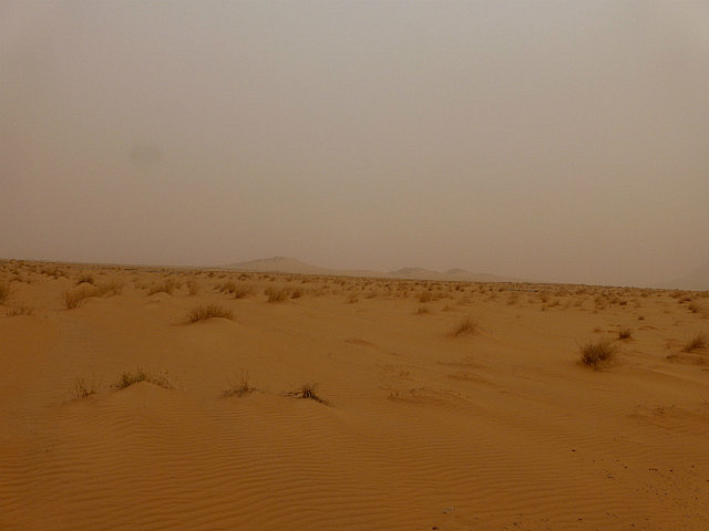 The desert near Ben Amera