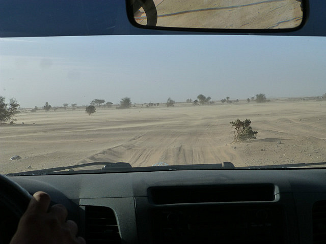 Windy day in the desert