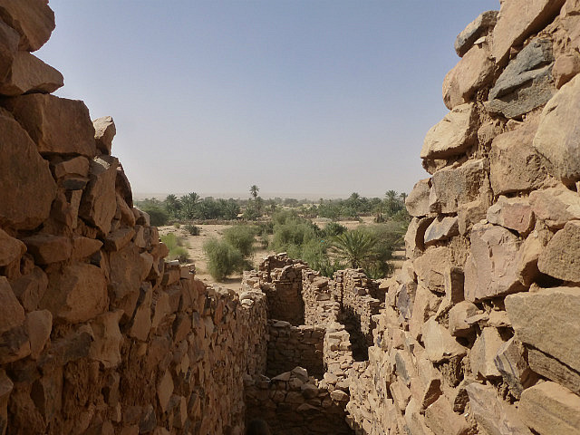 Fortified city walls and oasis