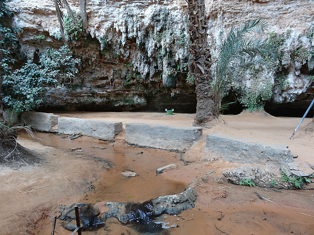 Auberge in the middle of the oasis
