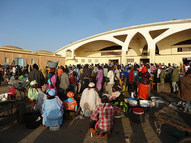 Nouakchott fish market