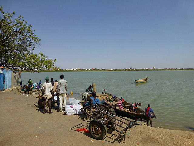 Banks of the River Senegal on the Senegal side